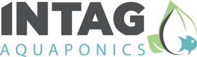 Intag Logo